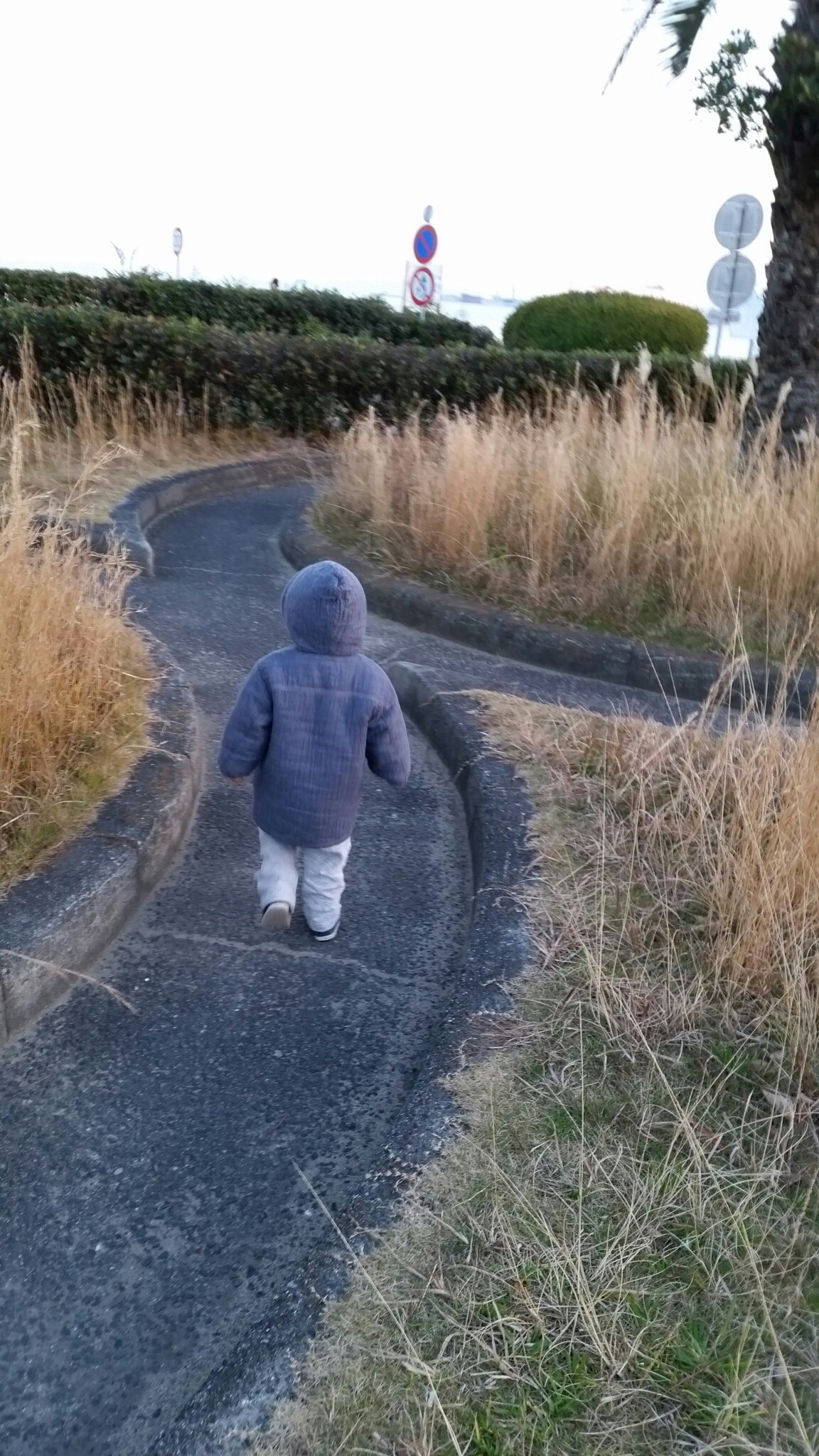 20141220124224883.jpg