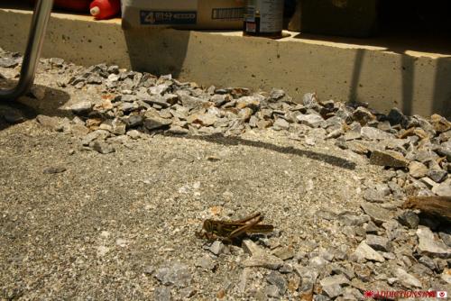 IMG_5399a.jpg