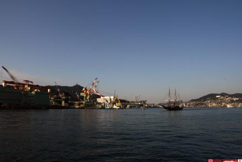 IMG_g7133.jpg