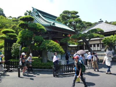 長谷寺入口　６・１４