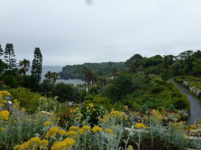 伊豆四季の花公園風景① 6・16
