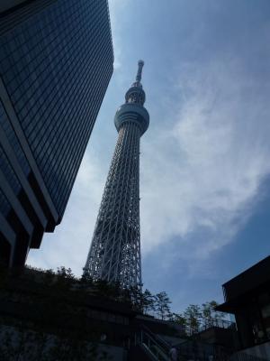 スカイツリー① 9・5