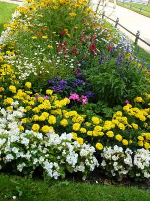 ドレスデン 噴水広場の花② 7・27
