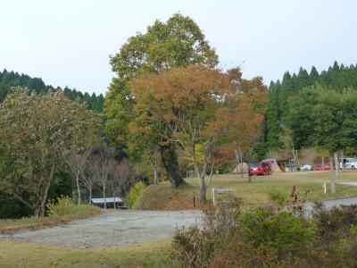 歌瀬キャンプ場② 11・4