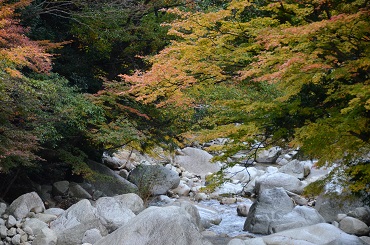 K01_3501s.jpg