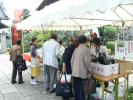 野菜や花苗を販売