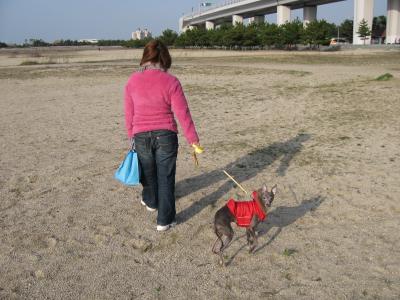 IMG_0957_convert_20121028010449.jpg