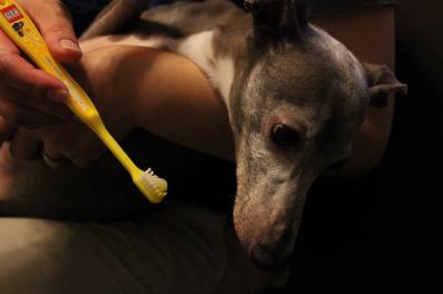 IMG_2576_convert_20120702223711.jpg
