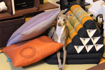 IMG_2665_convert_20120712162347.jpg