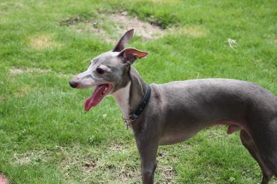 IMG_2744_convert_20120728100508.jpg