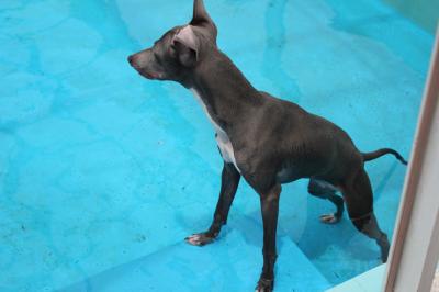 IMG_2758_convert_20120719083757.jpg