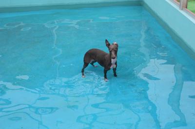 IMG_2759_convert_20120719083819.jpg