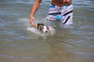 IMG_3080_convert_20120805180231.jpg