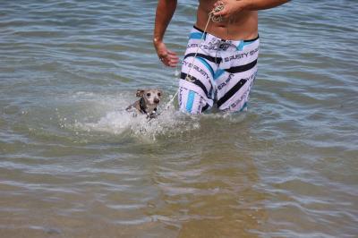 IMG_3090_convert_20120805172550.jpg