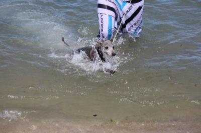 IMG_3097_convert_20120805172716.jpg