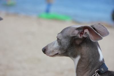 IMG_3124_convert_20120805164822.jpg