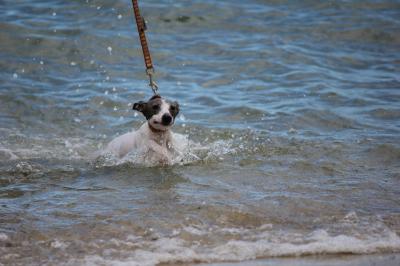 IMG_3139_convert_20120805184623.jpg
