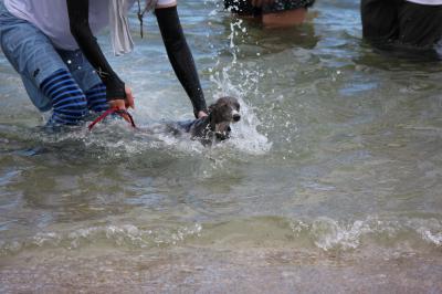 IMG_3142_convert_20120805184807.jpg