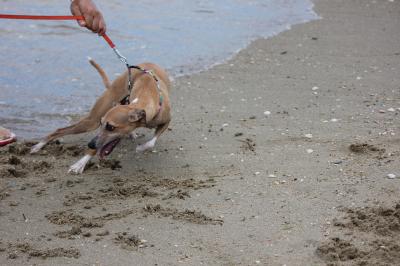 IMG_3146_convert_20120805184532.jpg