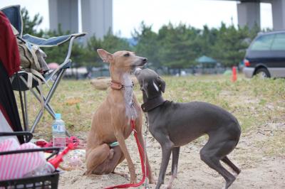 IMG_3200_convert_20120807095155.jpg