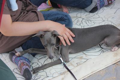 IMG_3218_convert_20120807095305.jpg