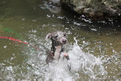 IMG_3345_convert_20120813151159.jpg