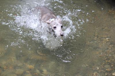 IMG_3361_convert_20120813145901.jpg
