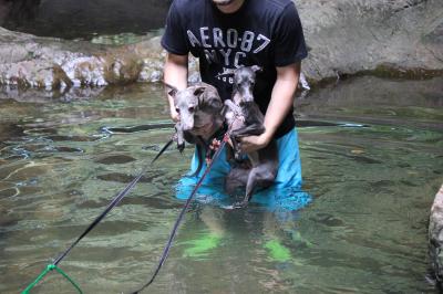 IMG_3371_convert_20120814092303.jpg