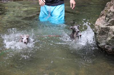 IMG_3377_convert_20120814092643.jpg