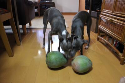 IMG_3514_convert_20120816224955.jpg