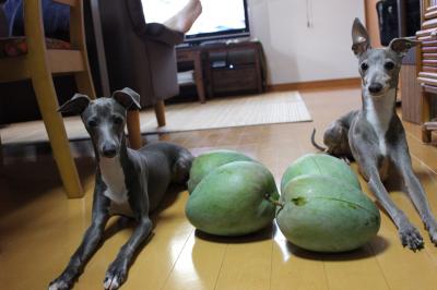 IMG_3520_convert_20120816225303.jpg