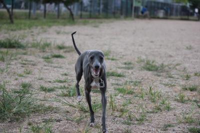 IMG_3573_convert_20120823100649.jpg