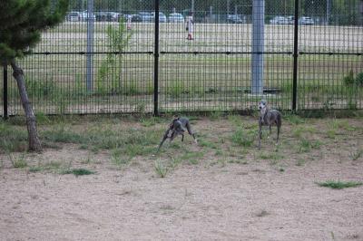 IMG_3587_convert_20120823100924.jpg