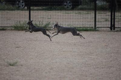 IMG_3591_convert_20120823101154.jpg