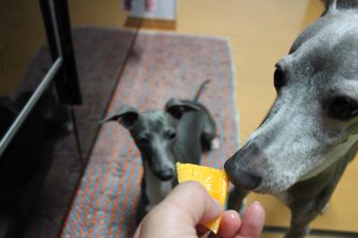 IMG_3707_convert_20120824212049.jpg