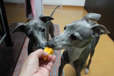 IMG_3713_convert_20120824212137.jpg