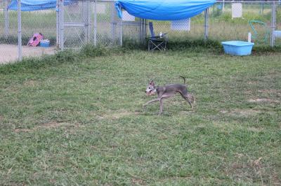 IMG_3737_convert_20120826222002.jpg