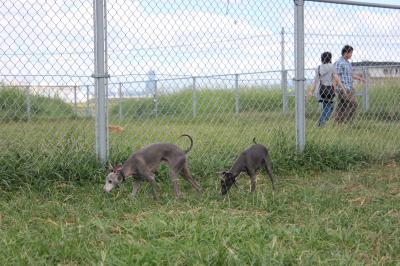 IMG_3740_convert_20120826222038.jpg