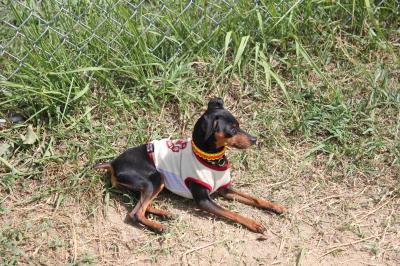 IMG_3748_convert_20120826222125.jpg