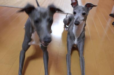 IMG_3921_convert_20120904105552.jpg