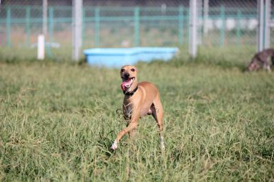 IMG_4335_convert_20120920082136.jpg