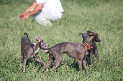 IMG_4341_convert_20120920082210.jpg
