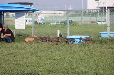 IMG_4349_convert_20120920083007.jpg