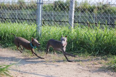 IMG_4352_convert_20120920083100.jpg