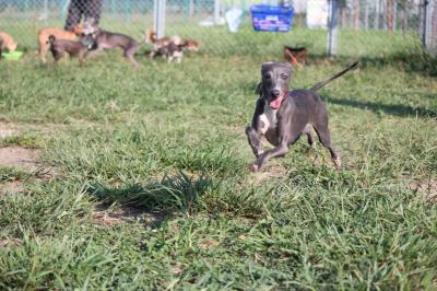 IMG_4356_convert_20120920233051.jpg