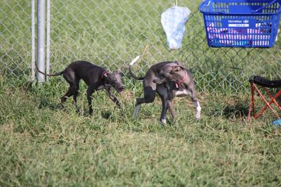 IMG_4365_convert_20120920083152.jpg