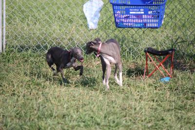 IMG_4366_convert_20120920083224.jpg