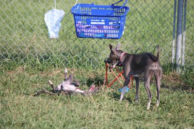 IMG_4367_convert_20120920083305.jpg