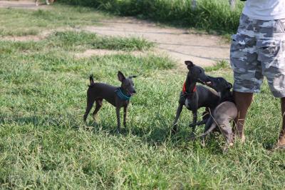 IMG_4372_convert_20120920083412.jpg