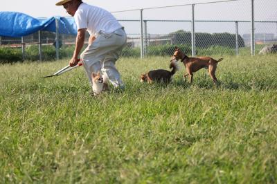 IMG_4400_convert_20120920083622.jpg